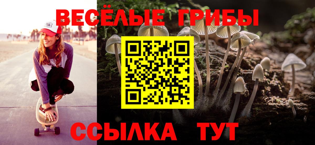 хочу наркоту  Вход с VPN  Реж  Псилоцибиновые грибы Psilocybe 